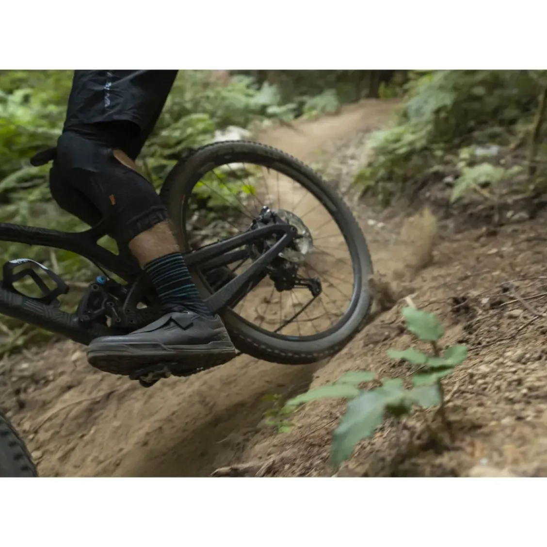 Shimano AM903 MTB Shoes