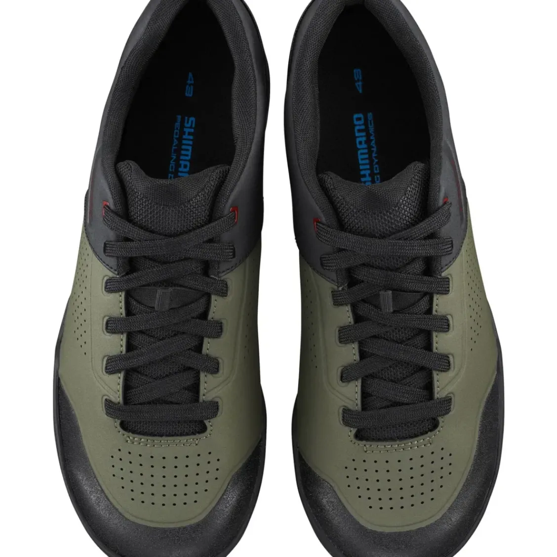 Shimano AM503 MTB Shoes